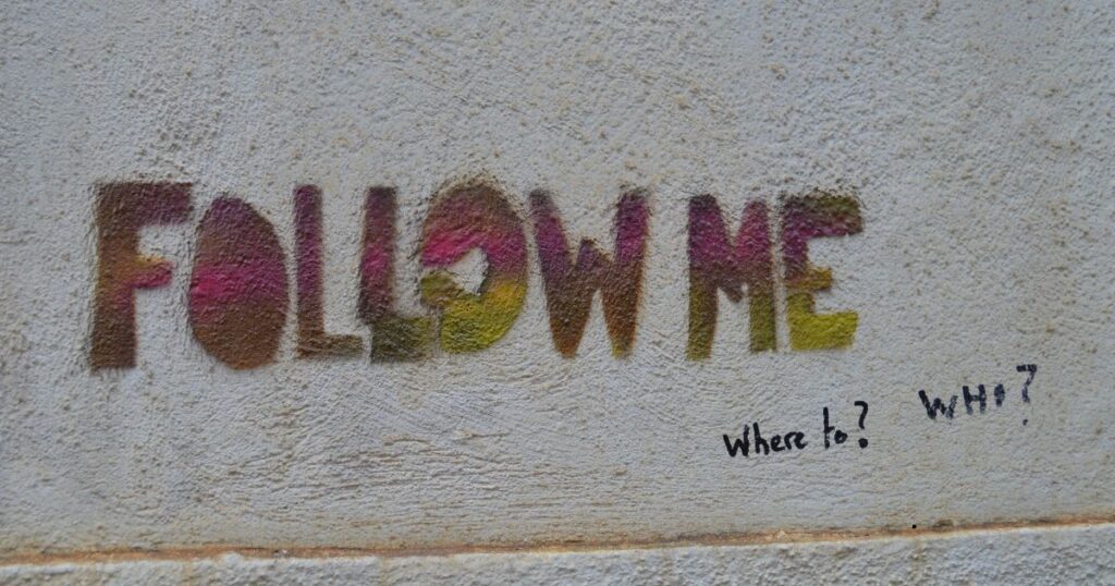 Mais seguidores significam mais vendas?